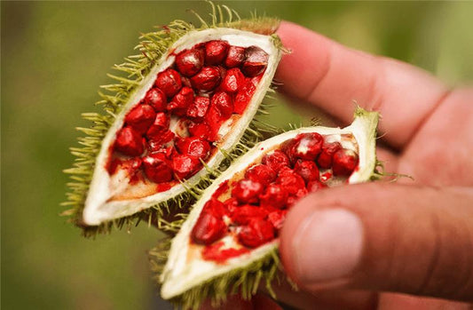 Beyond Cholesterol: Protecting What Statins Take Away