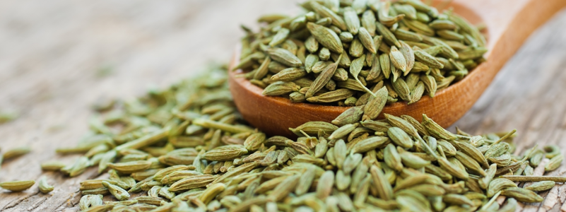 Fennel Seed