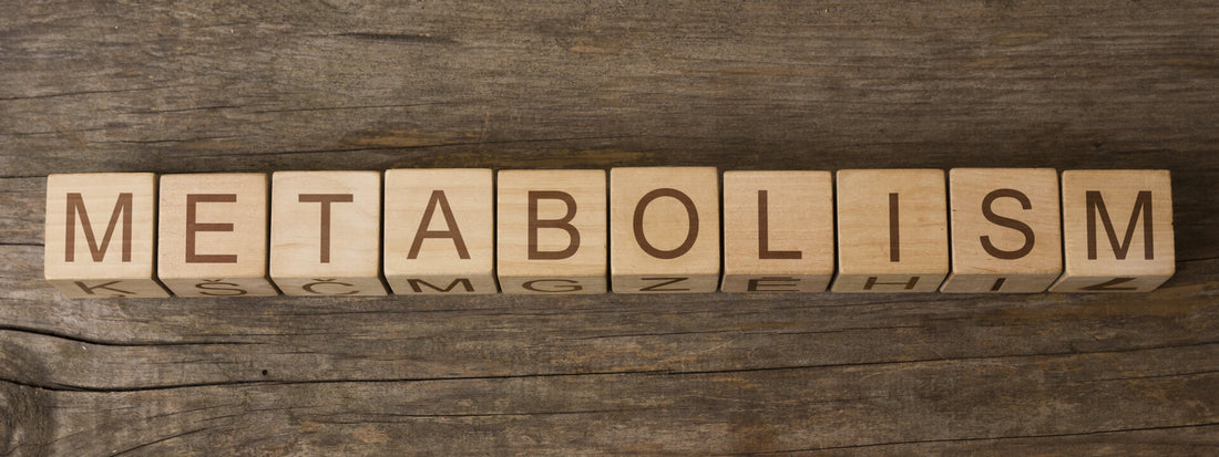 Tips To Kick Your Metabolism Up A Gear