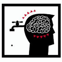 Wikileaks comes to New Zealand